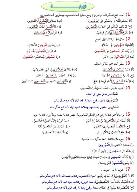 قسم السنة الخامسة ابتدائي قواعد لغة تمارين حول جمع المذكر السالم و اعرابه