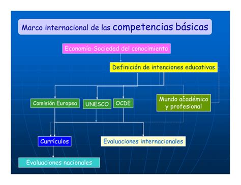 Marco Internacional De Las Competencias B Sicas