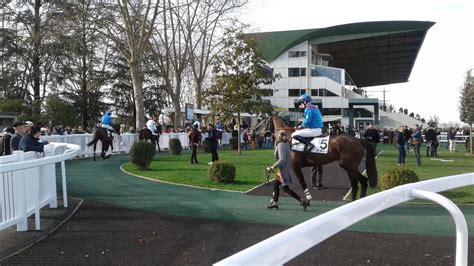 Hippisme Nos Pr F R S Pour Ce Dimanche F Vrier