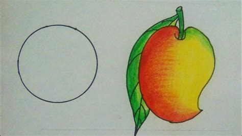 আম আকর নযম আম আক আম mango drawing drawing mango mango