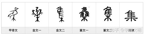 集——每日一字·隹部字 知乎