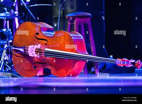 A double bass Stock Photo - Alamy