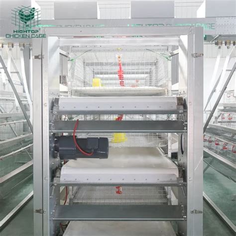 Hightop H Type Galvanized Automatic Raising Laying Chicken Battery