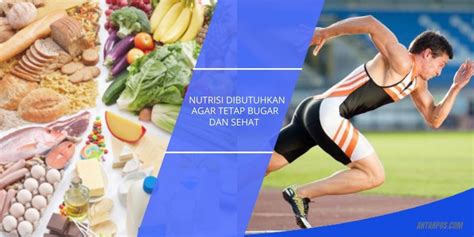 Pentinya Nutrisi Untuk Atlet Memahami Tingkat Energi Dan Diet Kaya