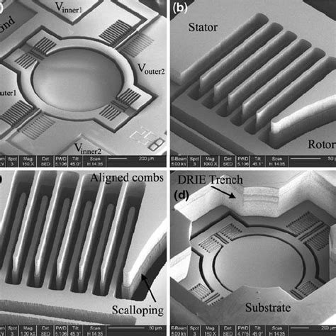 Scanning Electron Micro Graph SEM Images Of The Fabricated Devices