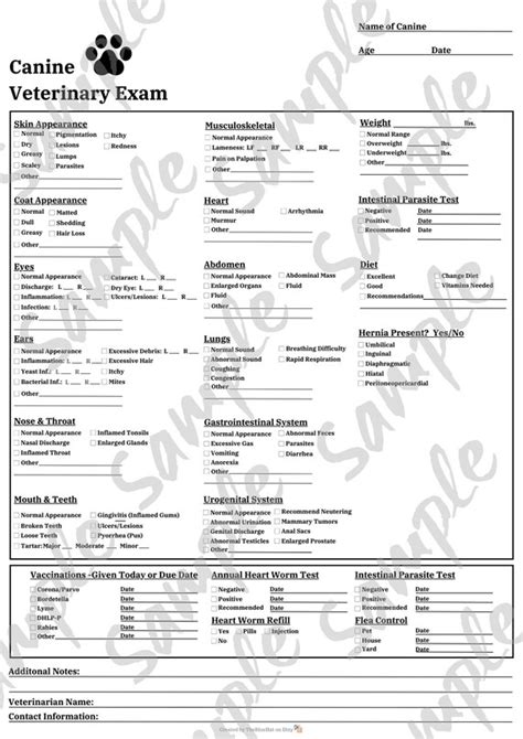 Canine Vet Exam Form Fillable Pdf Etsy