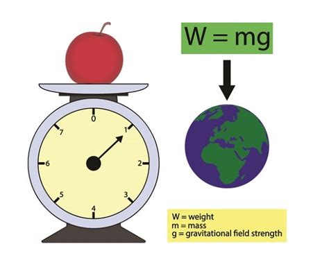 How to Find The Mass of an Object