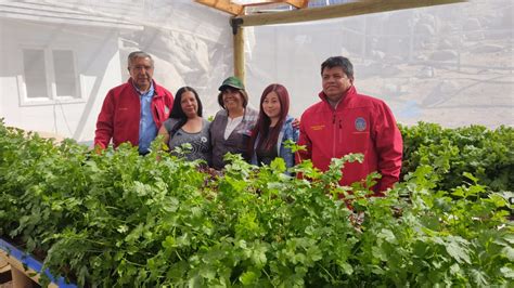 Inauguran Inédito Centro Hidropónico A Orillas Del Mar En Caleta