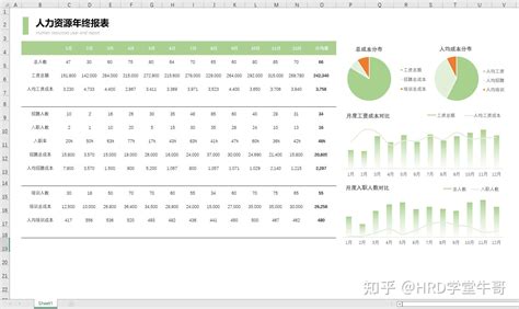 Hr必备报表及数据分析表格合集，月报年报数据分析模板（随改随用55份全自动生成） 知乎