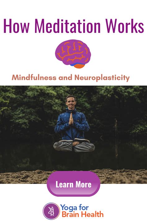 How Meditation Works | Meditation, Neuroplasticity, Mindfulness