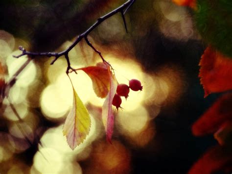 Digital Photography Photography