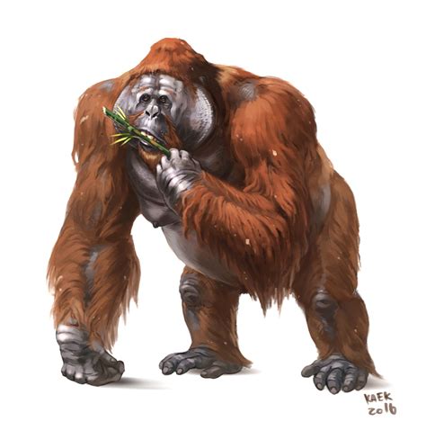 Gigantopithecus Blackii Was A 10 Ft Tall 1200 Lbs Primate—the Largest