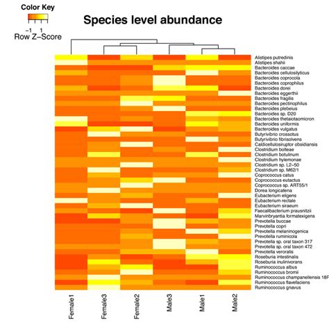 Metamos Comparative Heat Map For Sexual Dimorphism Study Heat Map