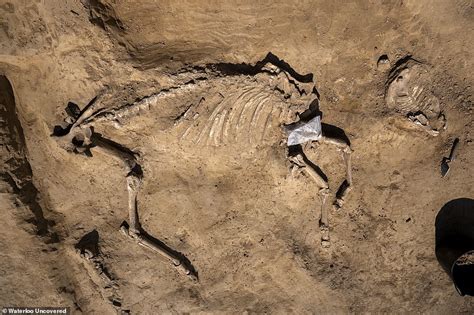 Rare Human Skeleton Uncovered At Battle Of Waterloo Site Smartblogideas