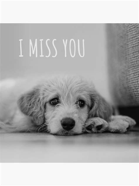 "I Miss You, Dog Meme" Poster for Sale by SevillaAnimals | Redbubble