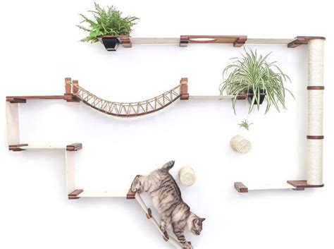 best cat wall climbing system diy cat wall playground in 2023 | Cat ...