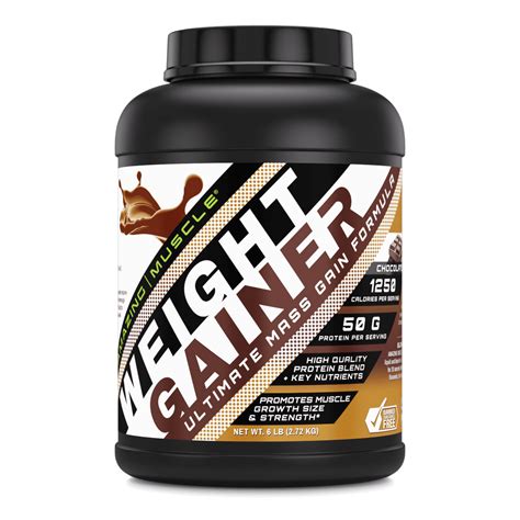 Amazing Muscle Whey Protein Weight Gainer 6lbs Chocolate Flavor