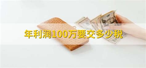 年利润100万要交多少税 财梯网