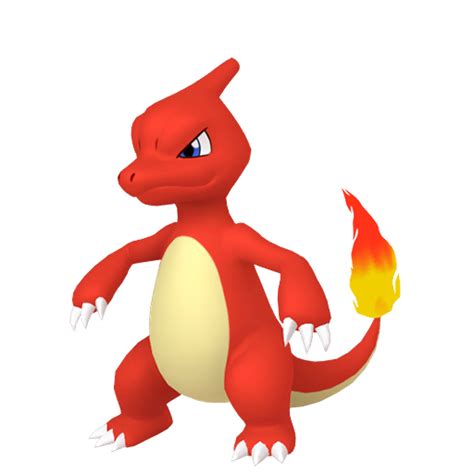 Charmeleon Pokemon Tami Zorina