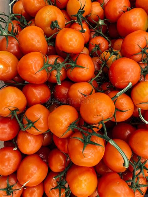 Muchos Tomates Deliciosos Maduros Para Comer Fondo Imagen De Archivo