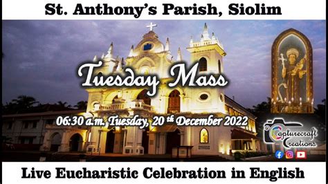 Tuesday English Mass Live At Am Th December St Anthony S