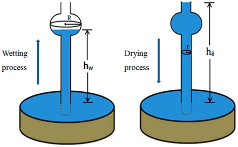 Minerals Free Full Text Influence Of Leaching Solution On The Soil