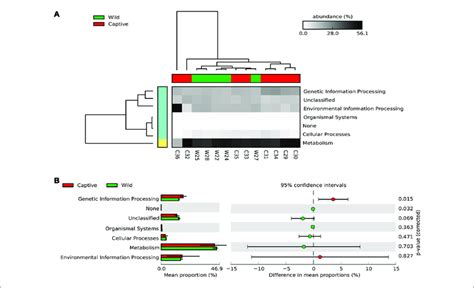 Predicted Kegg Pathways Using Picrust For Wild And Captive Andean