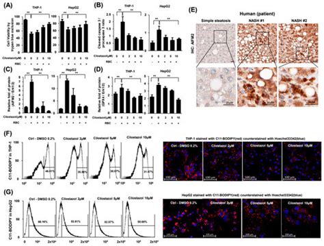 IJMS Free Full Text Pharmacological Prevention Of Ectopic