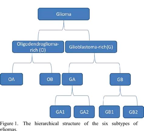 Figure 1 From Classifying Six Glioma Subtypes From Combined Gene