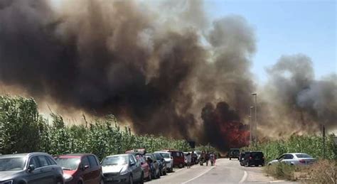 Incendio Sulla Litoranea Di Manduria Paura Fra I Bagnanti Le Fiamme