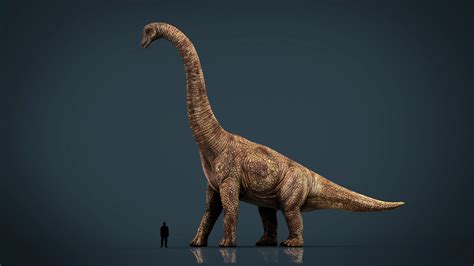 3D Realistic Brachiosaurus TurboSquid 1206484