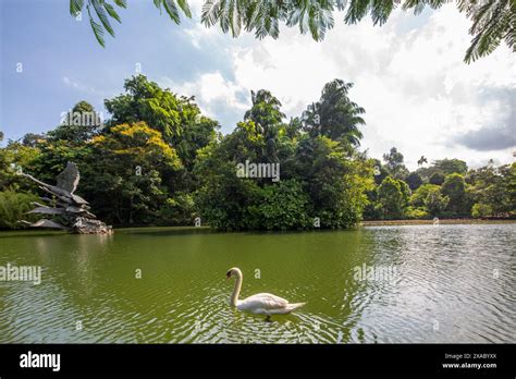 06 June 2024 Swans Lake With A White Swan Floating On Water At