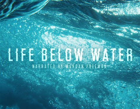 Life Below Water Behance