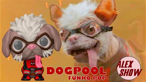 Dogpool Funko Pop Review Youtube