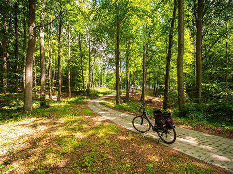 Drawsko Pomorskie Jego Okolice Jeziora I Szlaki Rowerowe