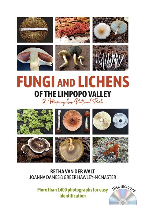 Fungi And Lichens Of The Limpopo Valley Kirstenbosch Bookshop