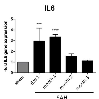 Gene Expression Of The Proinflammatory Cytokines Il Il And Tnf In