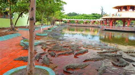 Suoi Tien Theme Park Guide: Things To Do At Du Lịch Văn Hoá Suối Tiên