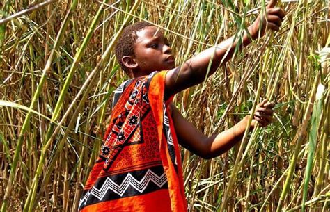 2023 Umhlanga Reed Dance Revealed