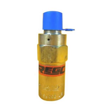 Rego Relief Valve For Gas At ₹ 2500 In Ahmedabad Id 20758756762