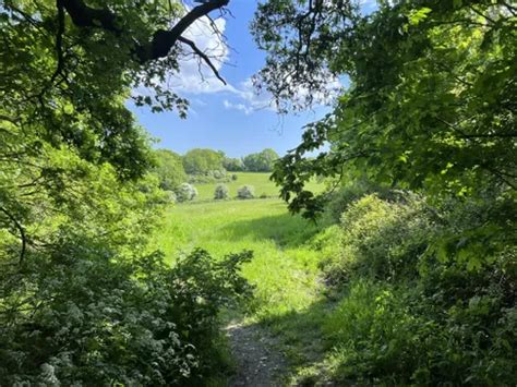 Best Hikes And Trails In Willow Park Alltrails