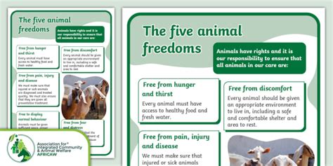 Five Freedoms Of Animal Welfare Poster - Twinkl South Africa