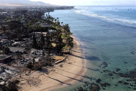 Turistas ignoram tragédia no Havaí vão à praia e causam revolta Folha PE