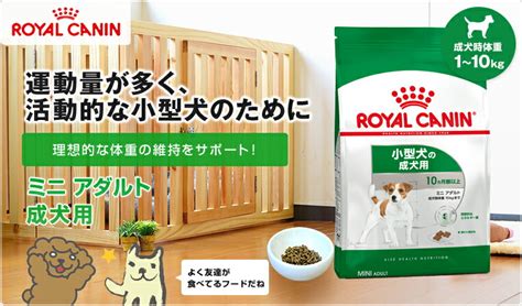 【楽天市場】【あす楽】ロイヤルカナン ミニアダルト 生後10ヵ月齢から8歳までの活発な小型犬に 2kg Royalcaninshn犬用