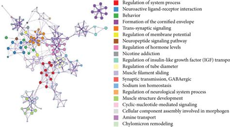 Identification Of Differential Expressed Genes Degs And Functional