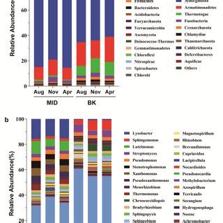 Relative Abundance Of The Top Species At The Phylum Level A And