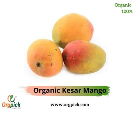 Buy Kesar Amba Onlineorganic Kesar Mango National Csa Directory