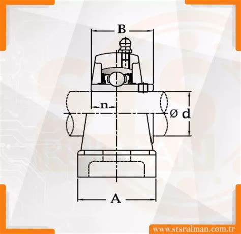 UCP 207 Yataklı Rulman STS RULMAN