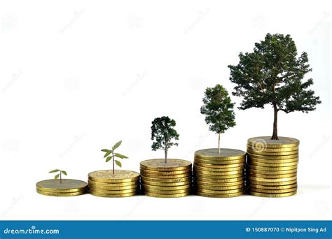 Gold Coins Pile Stack And Growing Money And Grow Trees That Grow Up On