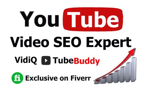 Do Youtube Video Seo For Top Ranking By Vidiq And Tubebuddy By Khadiza